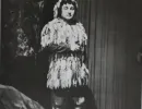 carovna flauta   papageno